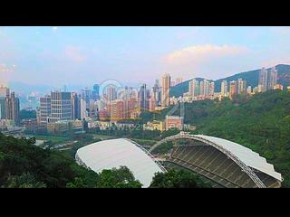 跑马地 - 乐陶苑 08