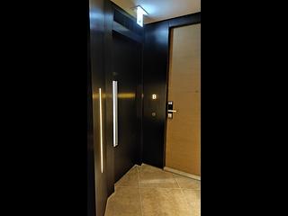Tin Hau - The Pavilia Hill Block 5 12