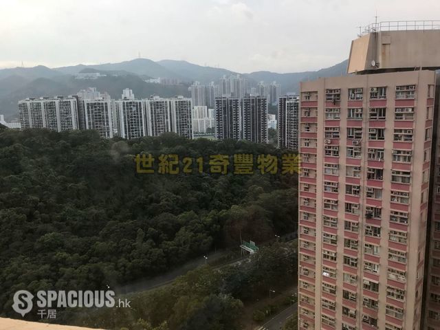 Sha Tin - Yue Tin Court 01