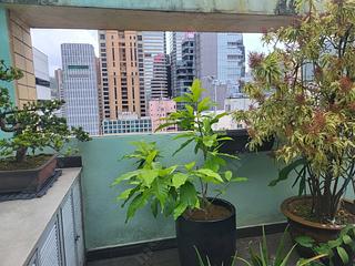 Causeway Bay - Elizabeth House 06