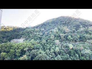 中半山 - 波老道21號 1號及2號 11
