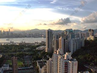 Causeway Bay - Illumination Terrace 02