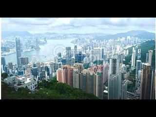 The Peak - Peak Gardens 02