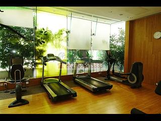 Kennedy Town - Belcher's Hill 22