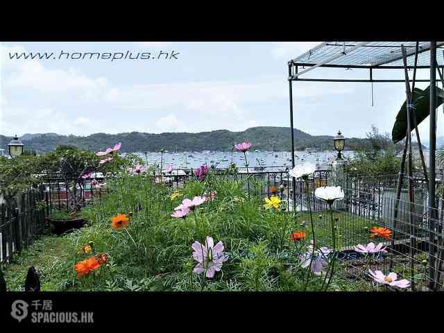 Sai Kung - Pak Sha Wan 04