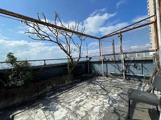 Shek Tong Tsui - Chester Court 06