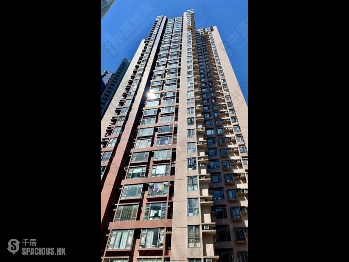Noho - Hollywood Terrace 01