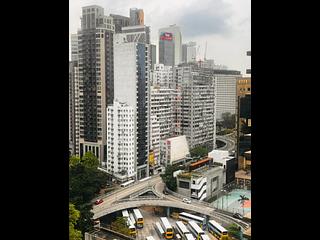 Tai Hang - The Warren 05