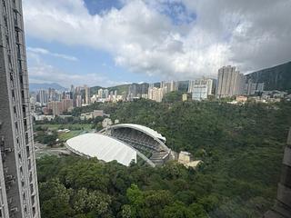 跑马地 - 乐陶苑C座 12