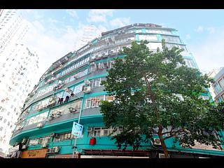 Poho - Hollywood Building 19
