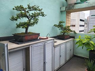 銅鑼灣 - 伊利莎伯大廈 05
