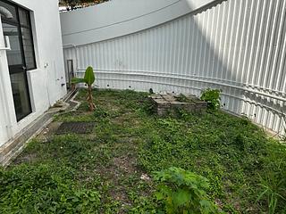 Pok Fu Lam - Pine Grove 11
