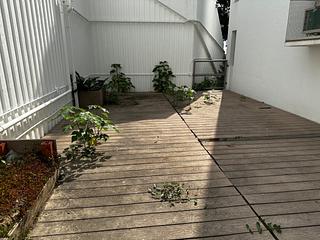 Pok Fu Lam - Pine Grove 13