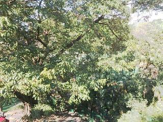 Pok Fu Lam - 94A, Pok Fu Lam Road 13