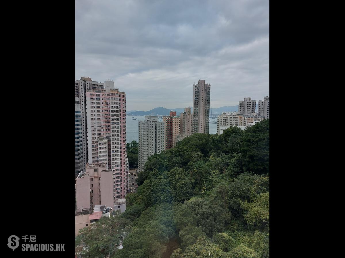 堅尼地城 - 桃李園 01