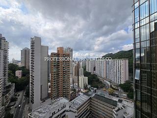 大坑 - 龙园 13