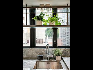 Sai Ying Pun - 111, High Street 08