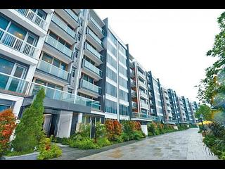 Happy Valley - 1, Broadwood Road 05
