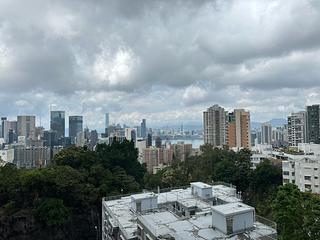 大坑 - 瑞士花園 05