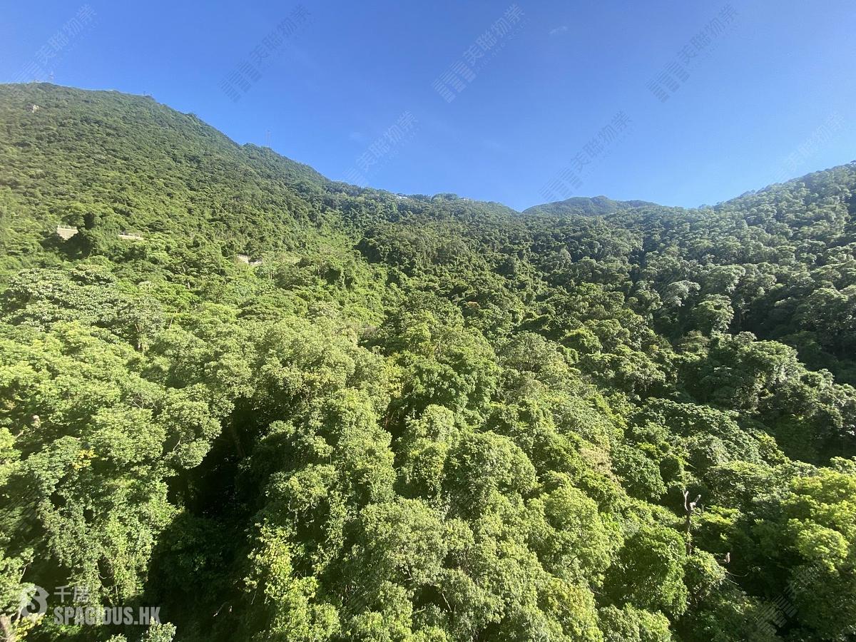 西半山 - 杏彤苑 01