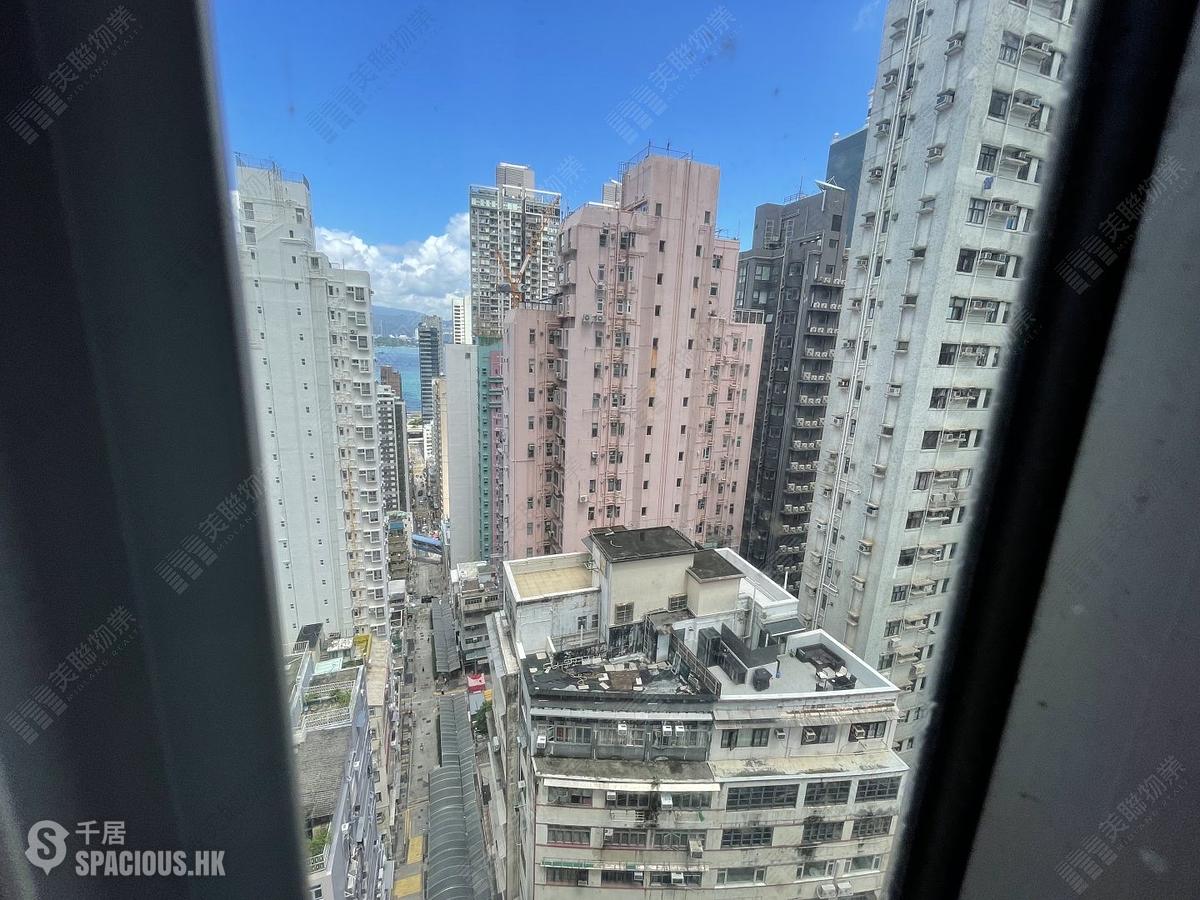 西营盘 - 金凤阁 01