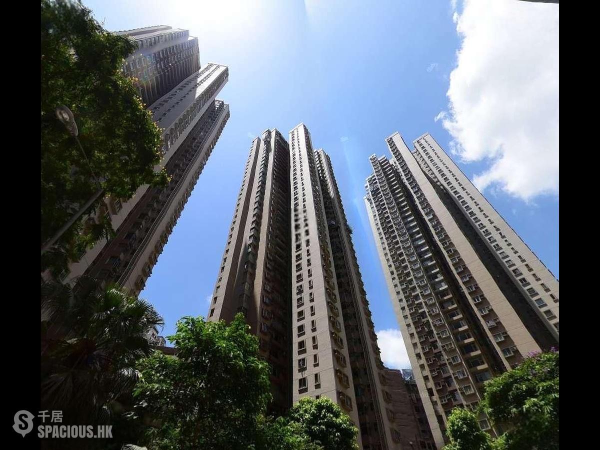 炮台山 - 海峰园 南峰阁 (3座) 01