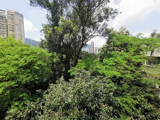 Tai Hang - Mayflower Mansion 19