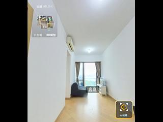 Causeway Bay - Jones Hive 02