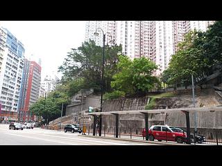 炮台山 - 建康花園 08