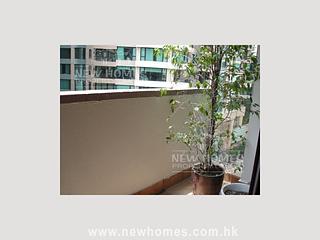 司徒拔道 - 銀輝大廈 05