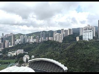 跑马地 - 乐陶苑C座 04