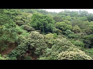 天后 - 飞龙台 06