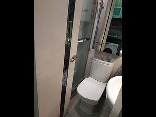 Causeway Bay - Tobacco House 05