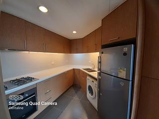 Mid Levels Central - Robinson Place Block 2 11
