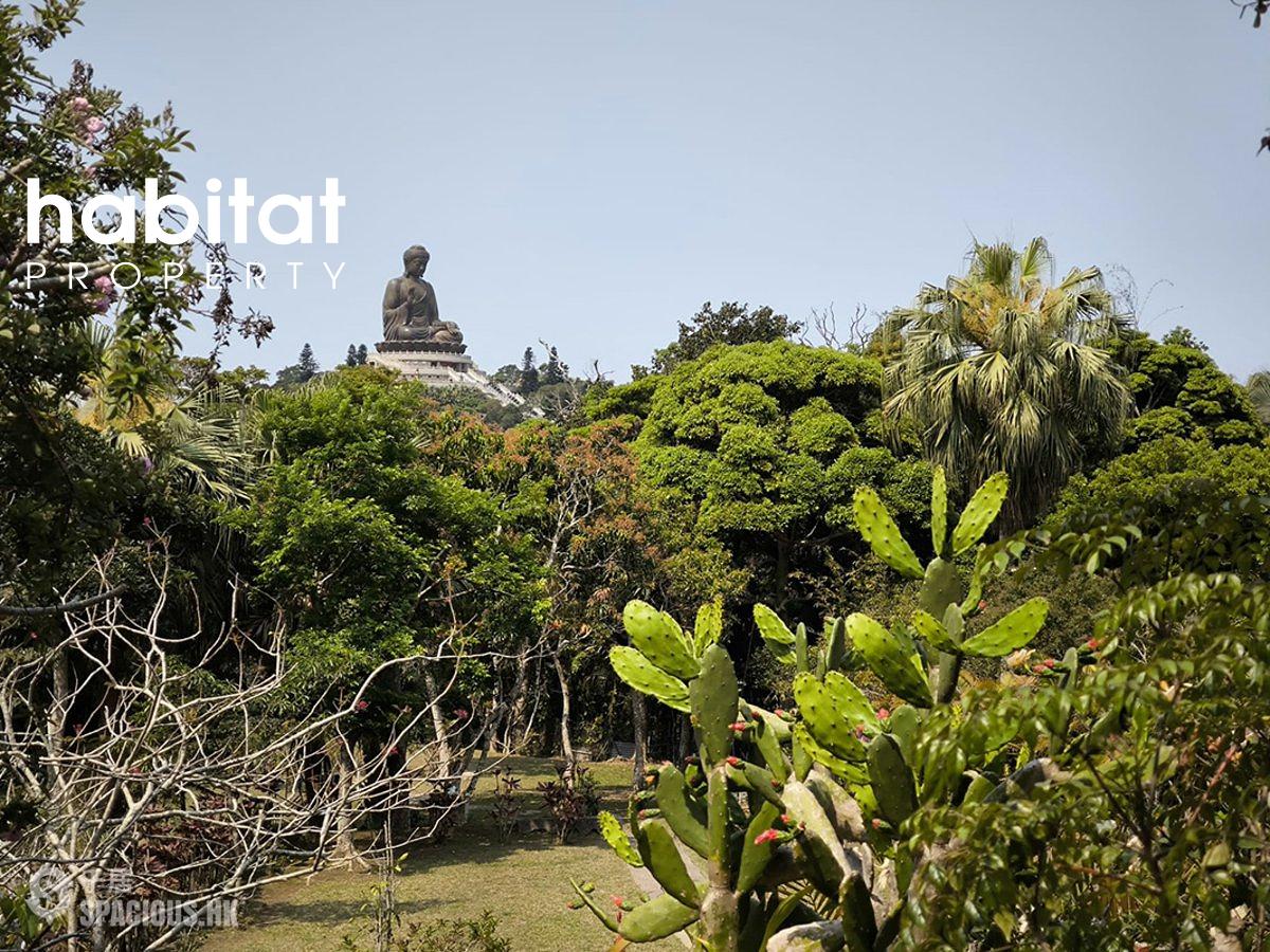 North Lantau - Ngong Ping Lot No. 193B 01