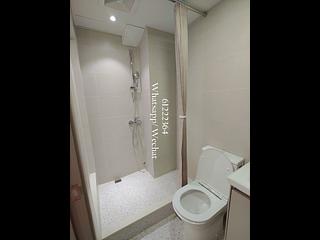 Noho - 11, Gough Street 17