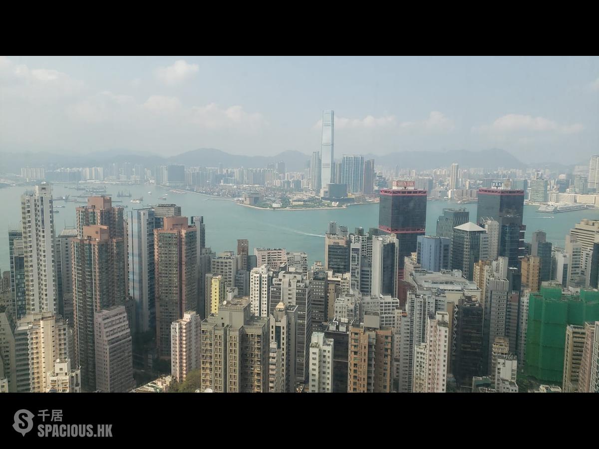 西半山 - 罗便臣道80号 01