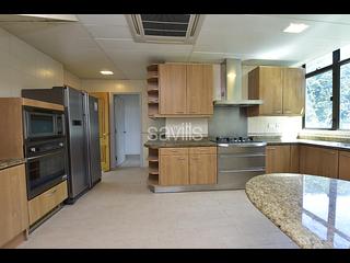 Mid Levels Central - Fairlane Tower 08