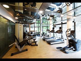 Mid Levels Central - Fairlane Tower 12