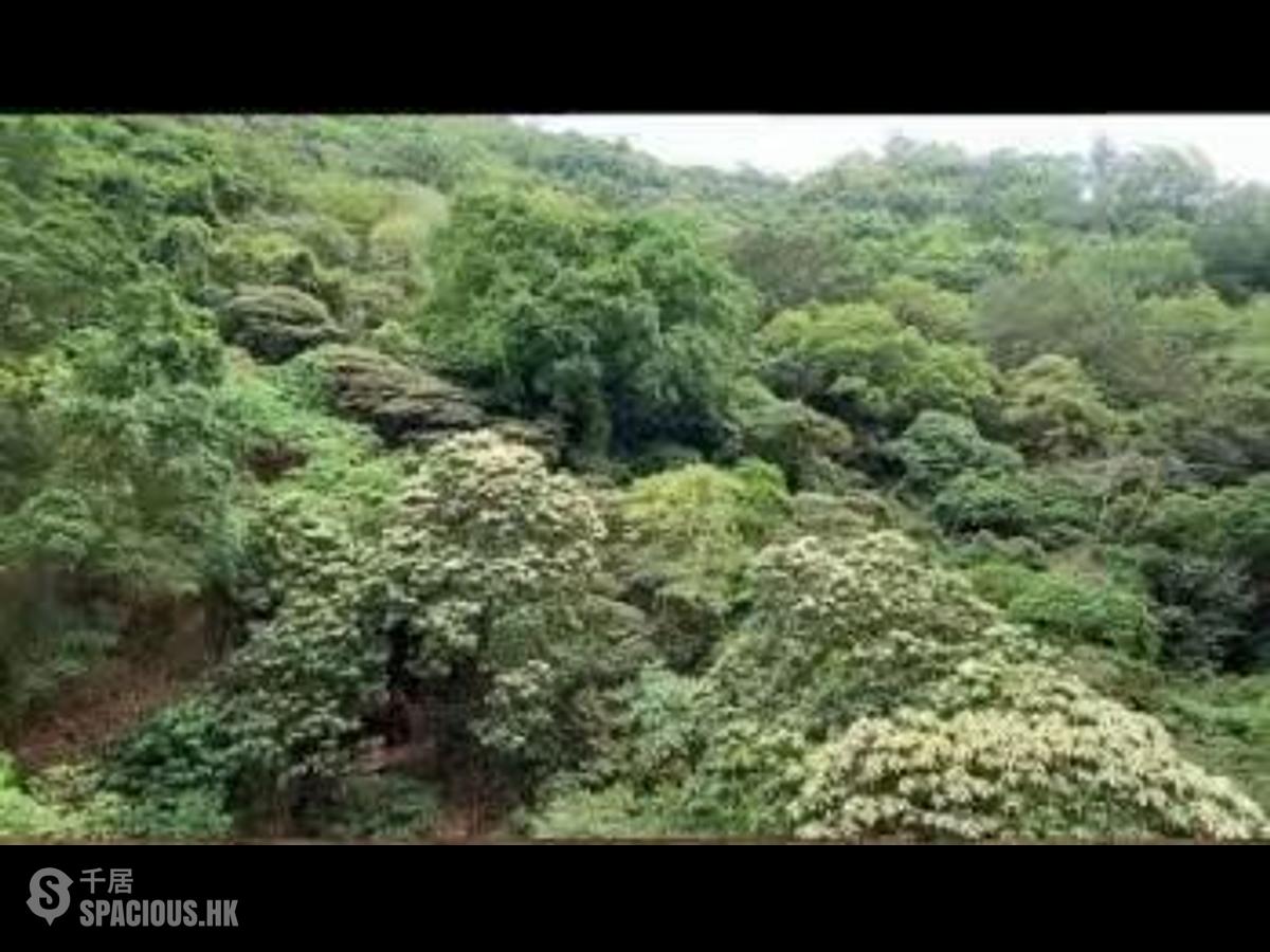 天后 - 飞龙台 01