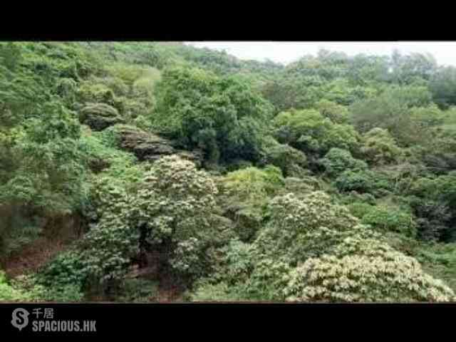 天后 - 飛龍台 01