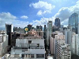 Poho - Rich View Terrace 07