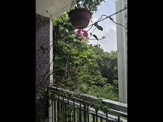 Pok Fu Lam - Four Winds Apartment 06