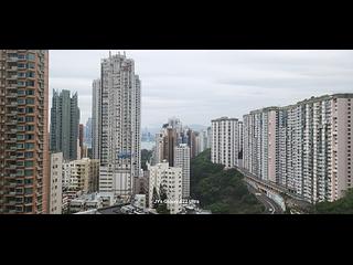 大坑 - 春晖8号 12