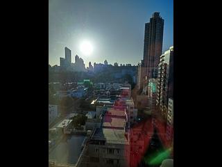 何文田 - 譽林 03