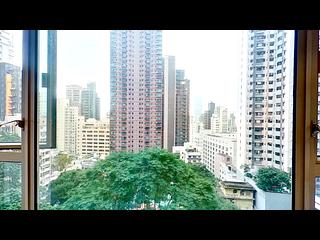 中半山 - Peach Blossom 10