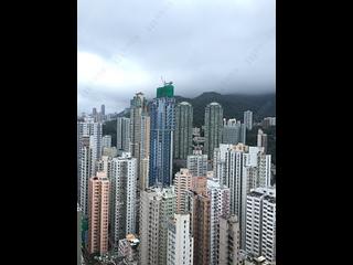 坚尼地城 - 泓都 02