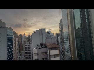 Sheung Wan - Manhattan Avenue 08