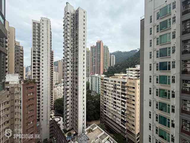 中半山 - 罗便臣道31号 01