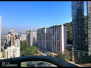 大坑 - 春晖8号 09
